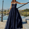 A woman in a navy blue, strapless gown with a fitted bodice and flowing skirt stands on an outdoor stone staircase by a lake. She is holding onto the black handrail marked with HADLEY PO926 and gazing into the distance. A streetlamp and greenery are visible in the background, adding to the serene ambiance. Angels Formal Wear